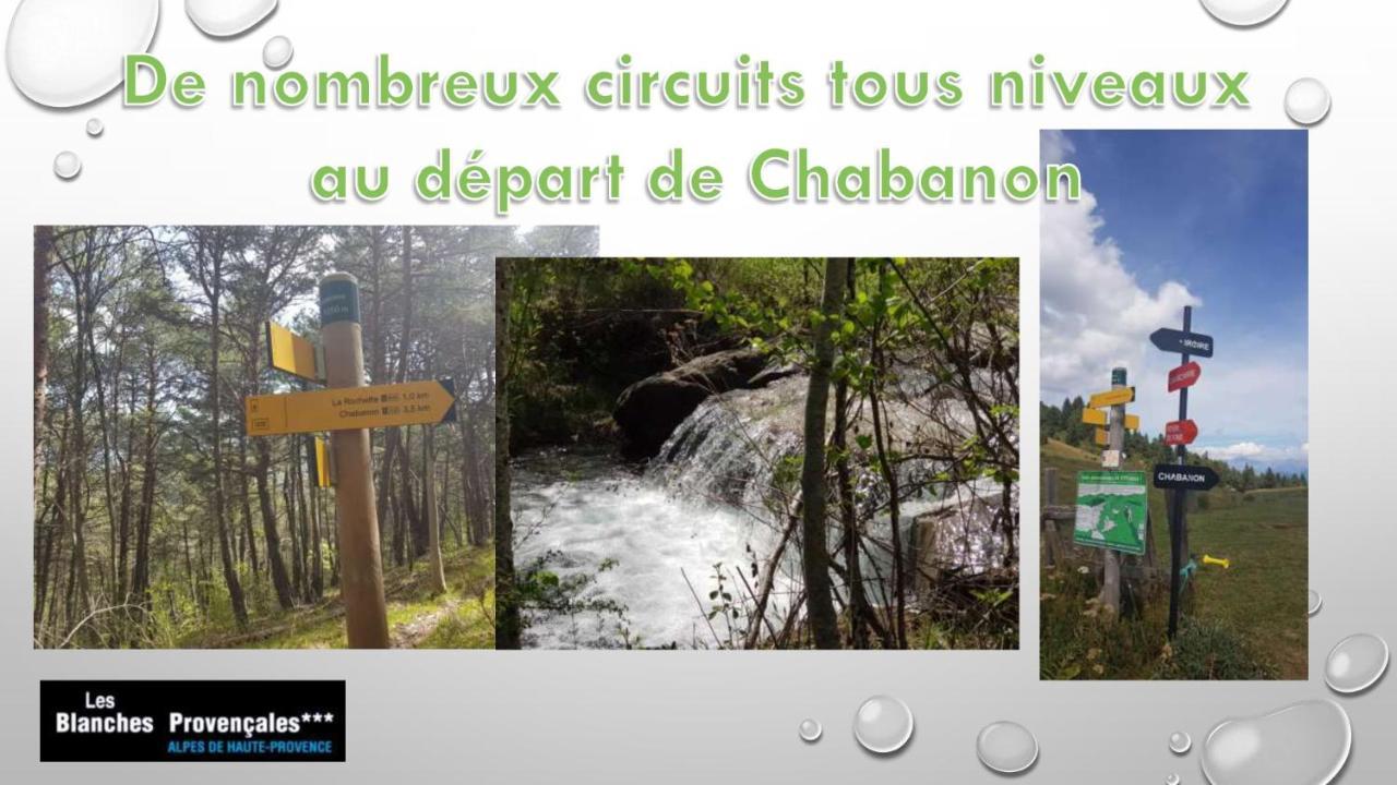 Bed & Breakfast Les Blanches Provencales 3*